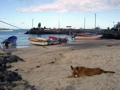 Easter Island, 2001