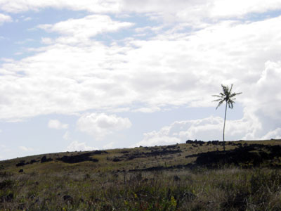 Easter Island, 2001