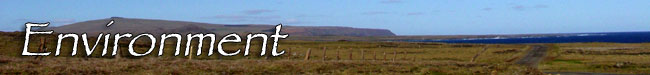 Environment of Easter Island