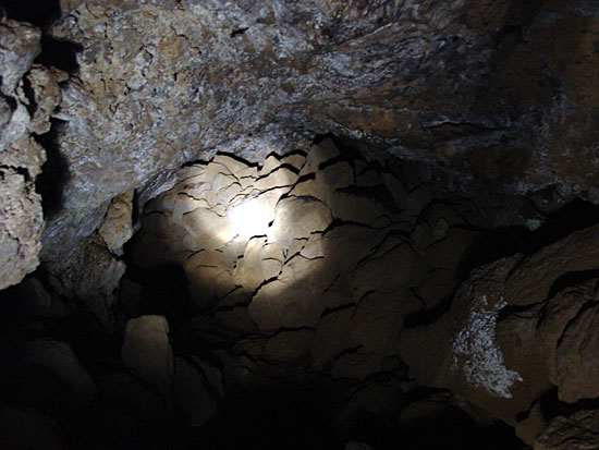 Underground in a lava tube