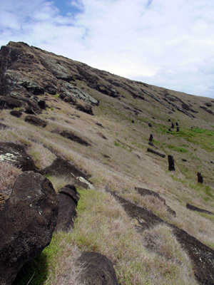 Moai still standing in the quarry at Rano Raraku